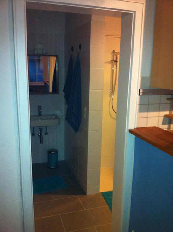 Ferienwohnung Freiburg Herdern חדר תמונה